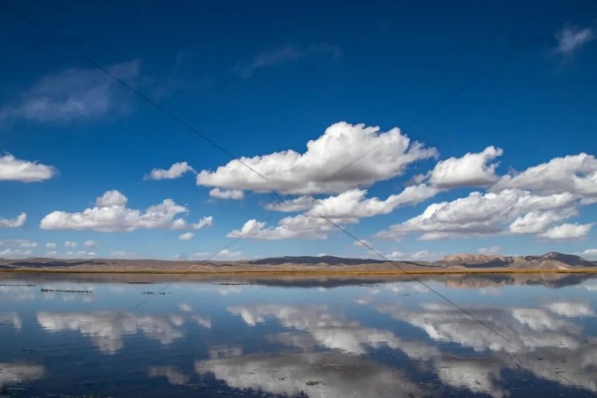 诺玛迪森：2020再见，2021我们牛气冲天！图片