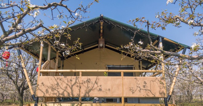 安徽砀山东篱蓬芦梨园帐篷酒店（41平）喜马拉雅野奢帐篷酒店&mdash;安徽砀山东篱蓬芦（梨园41平）4