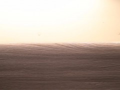 WLH_0549