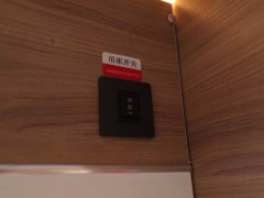 WLH_6690