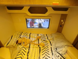 WLH_6553