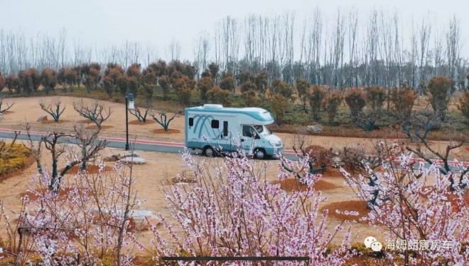 f77e35c7e80d7d669b98f74e1288e512