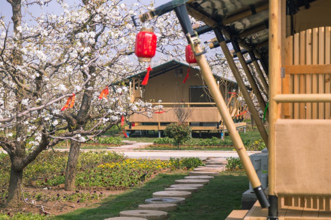 安徽砀山东篱蓬芦梨园帐篷酒店（78平）喜马拉雅野奢帐篷酒店&mdash;安徽砀山东篱蓬芦（梨园78平）19