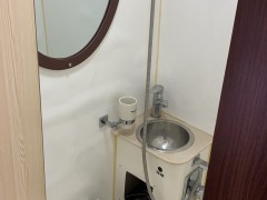 东风御风 柴油2.5T