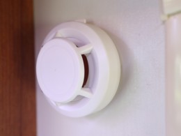 WLH_1238