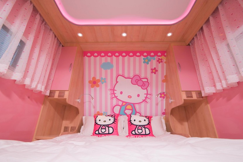 天晟房车8m粉红猫主题房车 18.8万元 DSC_3016_副本