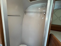 晶马 B型罗莎