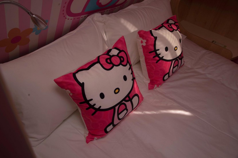 天晟房车8m粉红猫主题房车 18.8万元 DSC_3002_副本