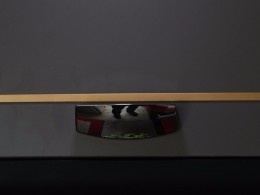 WLH_5570