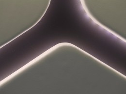 WLH_1161