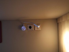 WLH_2525