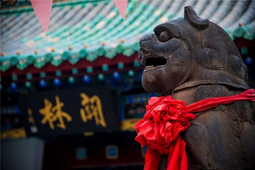 我叫洛阳，这是我2019年最新简历，请多关照！