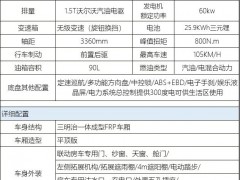 法美瑞 2020款新能源2.0版