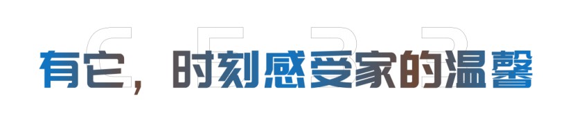 C533旗舰版双拓展|没点“真功夫”，怎敢逐梦远方！图片