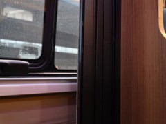 WLH_2536
