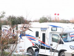 20200303213122239726