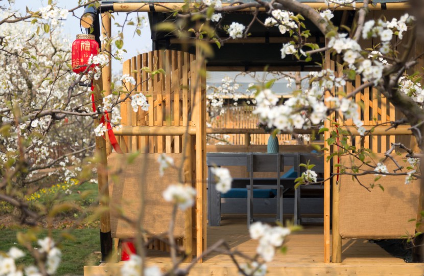 安徽砀山东篱蓬芦梨园帐篷酒店（54平）喜马拉雅野奢帐篷酒店&mdash;安徽砀山东篱蓬芦梨园帐篷酒店7