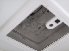 WLH_2807