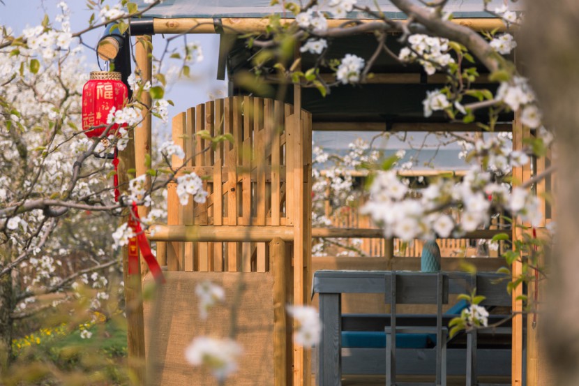 安徽砀山东篱蓬芦梨园帐篷酒店（78平）喜马拉雅野奢帐篷酒店&mdash;安徽砀山东篱蓬芦（梨园78平）7