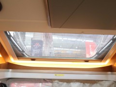 WLH_5513