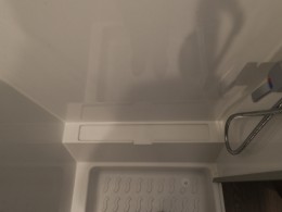 WLH_2895
