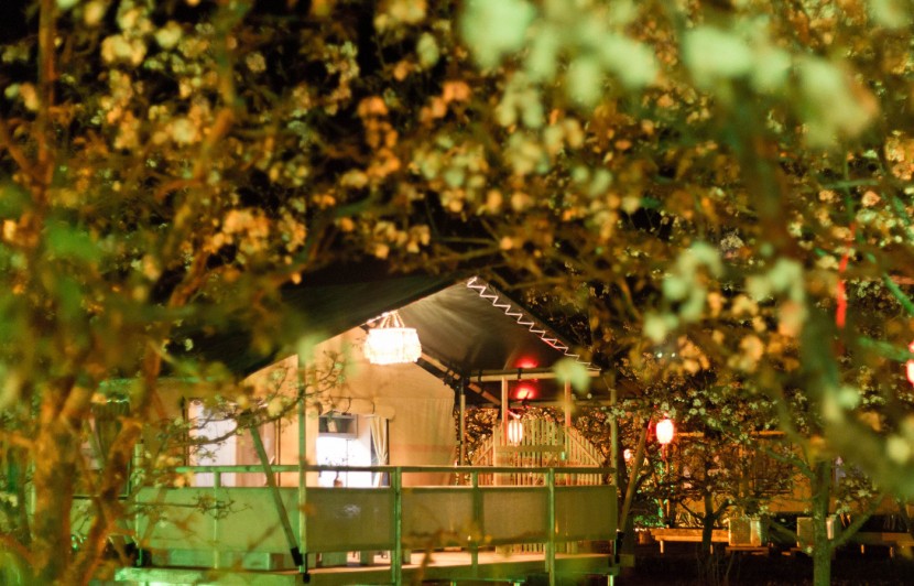 安徽砀山东篱蓬芦梨园帐篷酒店（62平）喜马拉雅野奢帐篷酒店&mdash;安徽砀山东篱蓬芦梨园帐篷酒店13