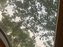 宇通 B型
