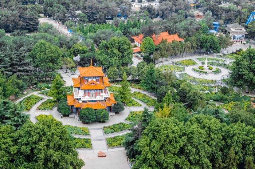 我叫洛阳，这是我2019年最新简历，请多关照！