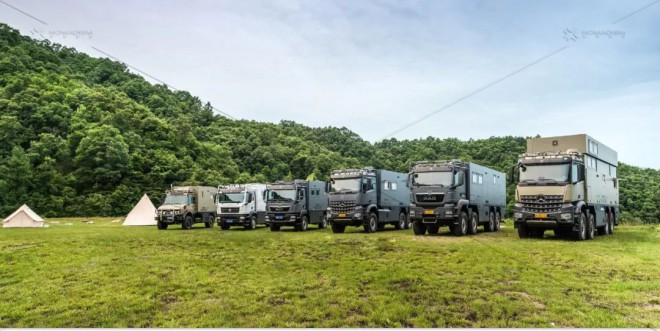 诺玛迪森：2020再见，2021我们牛气冲天！图片