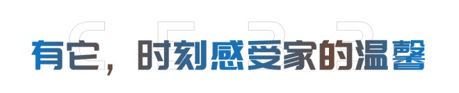 C533旗舰版双拓展|没点“真功夫”，怎敢逐梦远方！图片