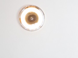 WLH_1402