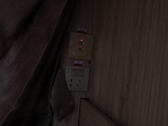 WLH_2199