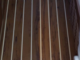 WLH_7793