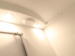 WLH_2872