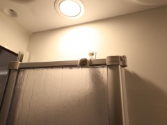 WLH_2894