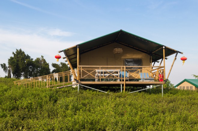 江苏常州茅山宝盛园2期茶园帐篷酒店喜马拉雅野奢帐篷酒店&mdash;江苏常州茅山宝盛园2期茶田帐篷酒店13