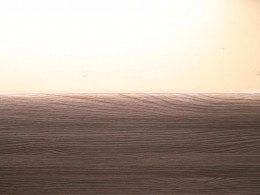 WLH_0549