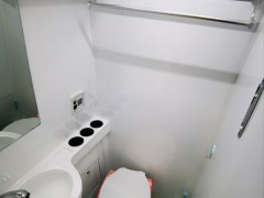 飞翔 2020款飞翔福特全顺新世代