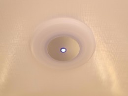 WLH_3962