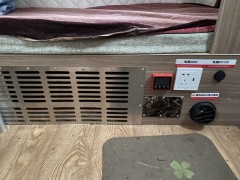 寄居蟹 c型