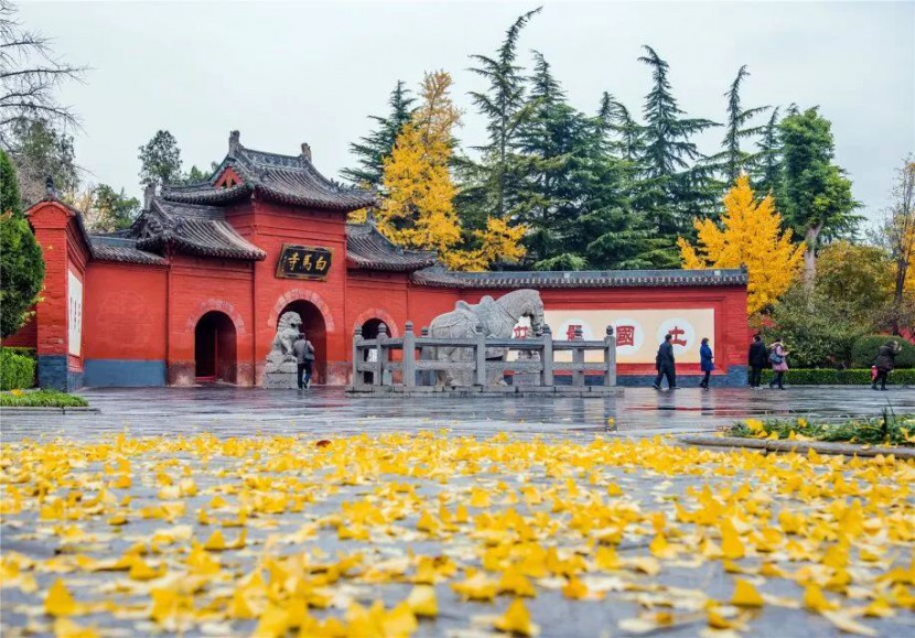 我叫洛阳，这是我2019年最新简历，请多关照！