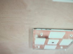 WLH_5508