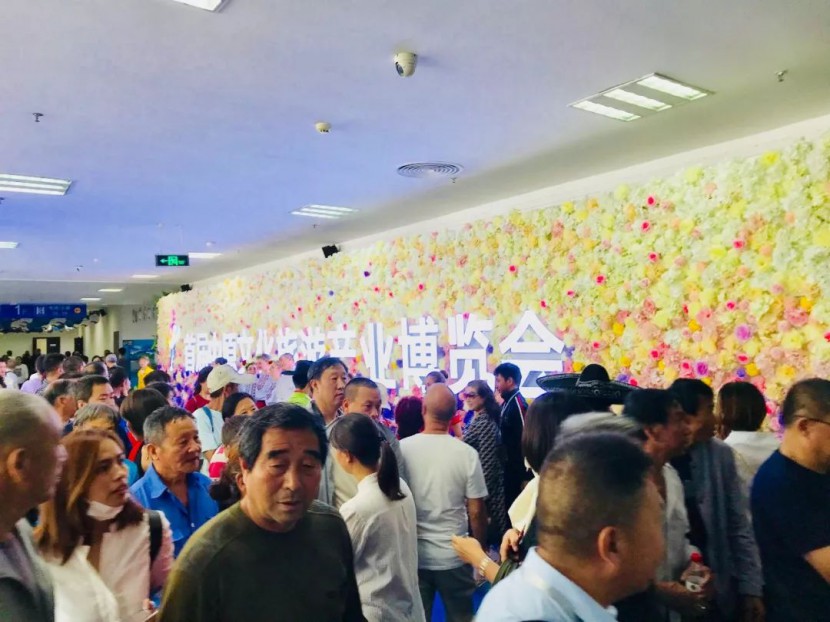 中原文化旅游产业博览会：如何撩拨城市心？下半年请您期待这件事儿