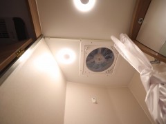 WLH_3954