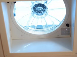 WLH_6729