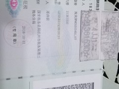 旅美 探险者