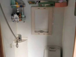 江铃 2019款江铃福特新全顺C型