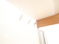 WLH_2921