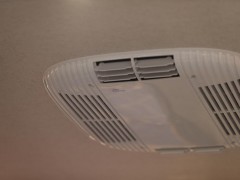 WLH_8540