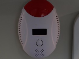 WLH_5594